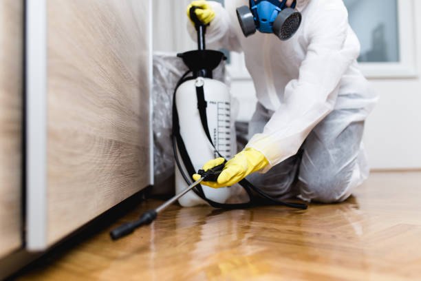 Flea Control Services in Combee Settlement, FL